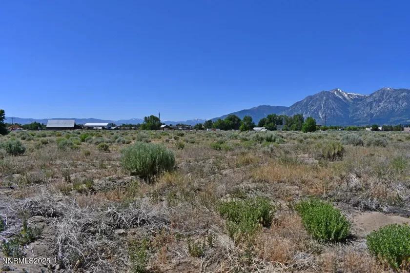 1795 U.S. Hwy 395, Minden, Nevada 89423, ,Land,Residential,U.S. Hwy 395,250051659