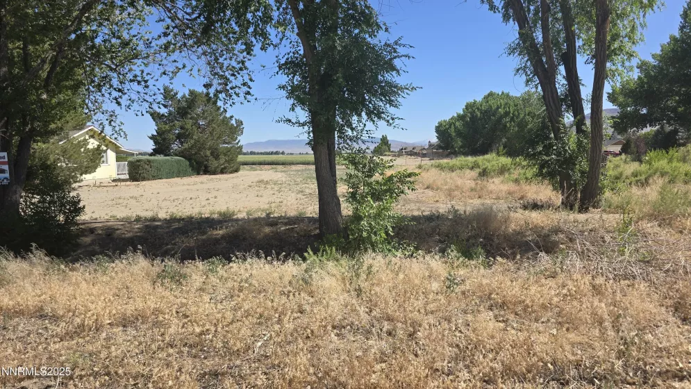 012-131-26 Mason, Yerington, Nevada 89447, ,Land,Residential,Mason,250051675