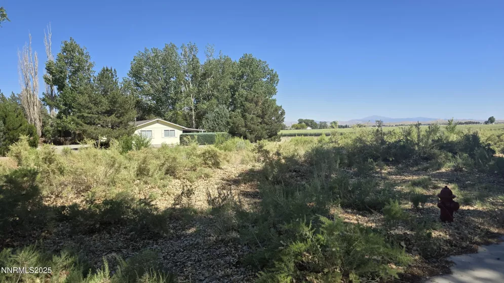 012-131-26 Mason, Yerington, Nevada 89447, ,Land,Residential,Mason,250051675