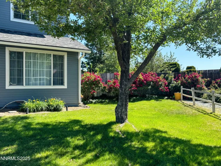 1175 La Cresta, Sparks, Nevada 89436, 4 Bedrooms Bedrooms, ,3 BathroomsBathrooms,Residential,Residential,La Cresta,250051676