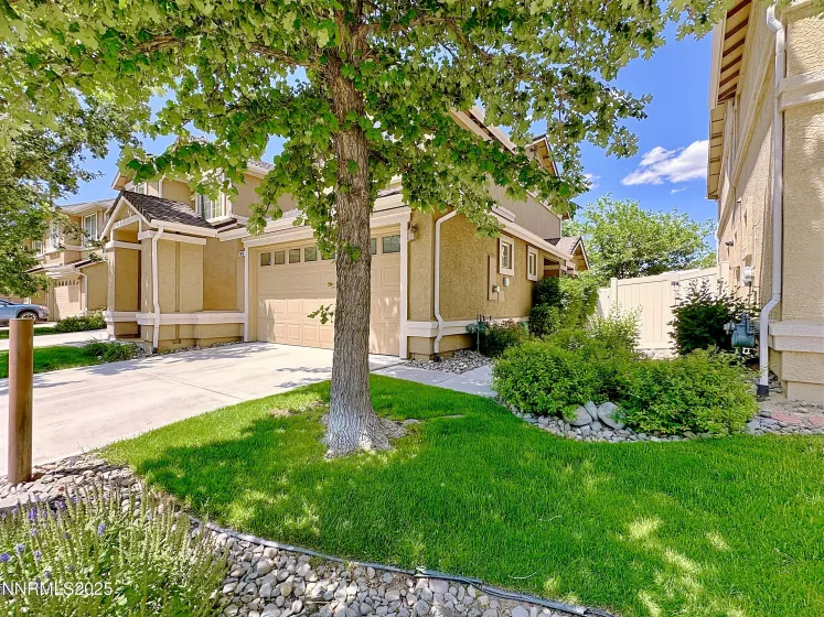 Front yard