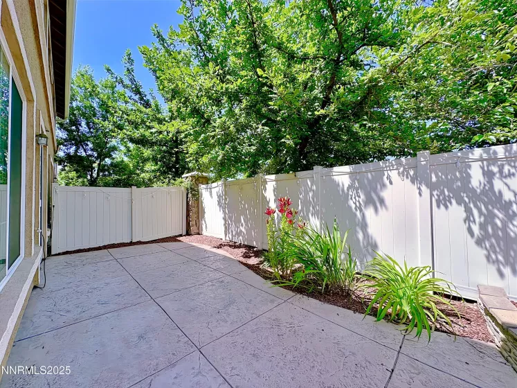 Back yard