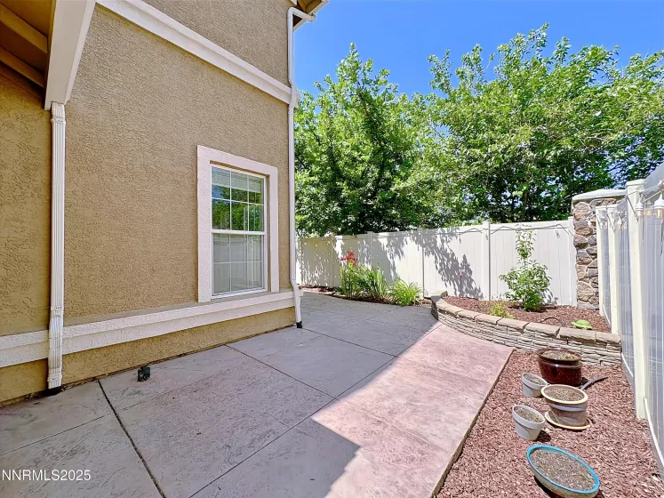 Back yard