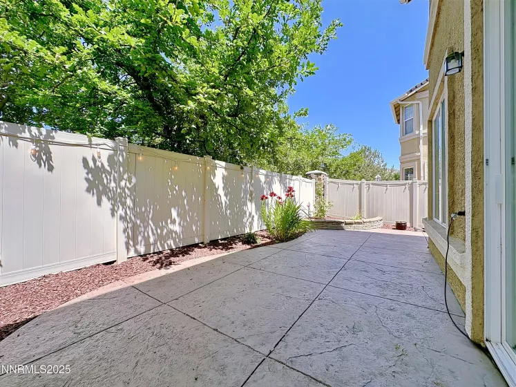 Back yard
