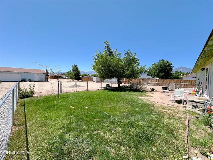 Back yard