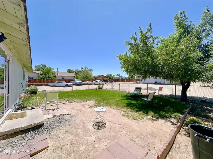 Back yard