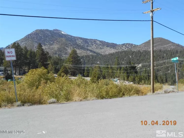 11000 Mount Rose, Reno, Nevada 89511, 5 Bedrooms Bedrooms, ,5 BathroomsBathrooms,Residential,Residential,Mount Rose,250050452