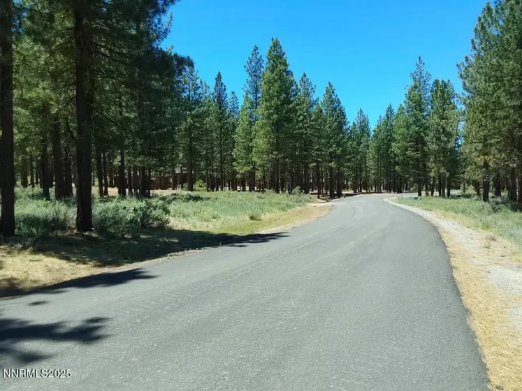 202 Village, Portola, California 96122, ,Land,Residential,Village,250051726