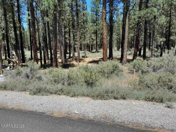 202 Village, Portola, California 96122, ,Land,Residential,Village,250051726