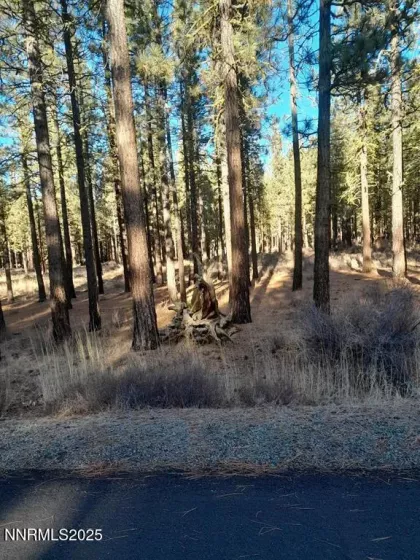 202 Village, Portola, California 96122, ,Land,Residential,Village,250051726