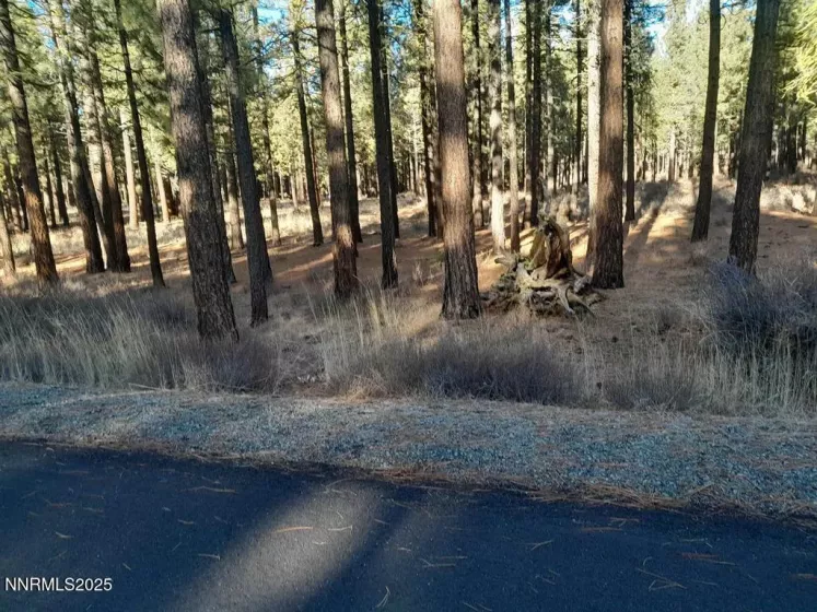 202 Village, Portola, California 96122, ,Land,Residential,Village,250051726