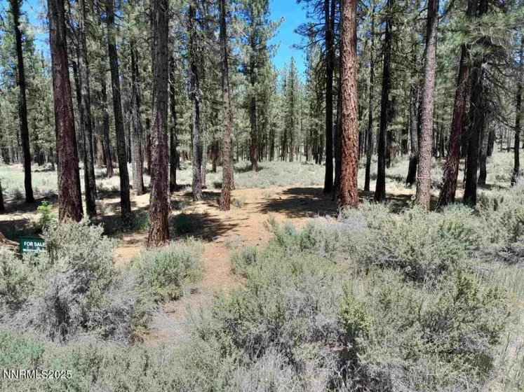 202 Village, Portola, California 96122, ,Land,Residential,Village,250051726