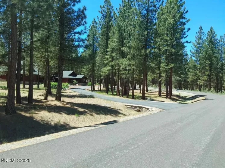 202 Village, Portola, California 96122, ,Land,Residential,Village,250051726