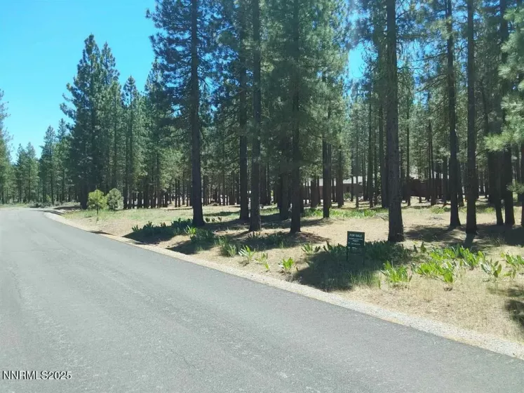 202 Village, Portola, California 96122, ,Land,Residential,Village,250051726