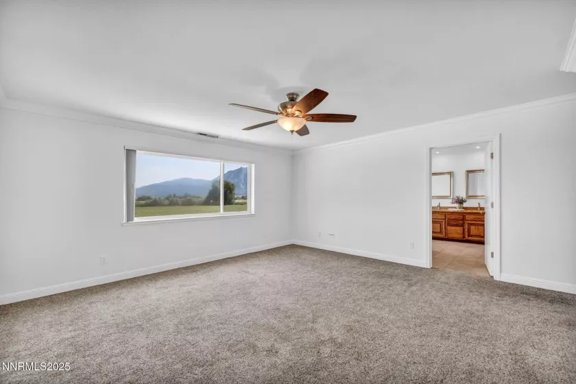 1663 Mackland, Minden, Nevada 89423, 4 Bedrooms Bedrooms, ,3 BathroomsBathrooms,Residential,Residential,Mackland,250051732