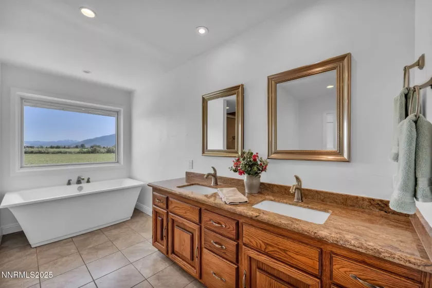 1663 Mackland, Minden, Nevada 89423, 4 Bedrooms Bedrooms, ,3 BathroomsBathrooms,Residential,Residential,Mackland,250051732