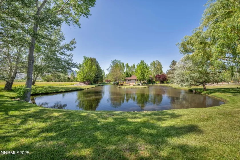 1008 Georgia, Gardnerville, Nevada 89460, 4 Bedrooms Bedrooms, ,4 BathroomsBathrooms,Residential,Residential,Georgia,250051750