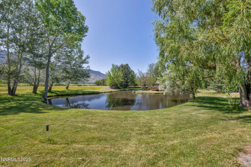1008 Georgia, Gardnerville, Nevada 89460, 4 Bedrooms Bedrooms, ,4 BathroomsBathrooms,Residential,Residential,Georgia,250051750