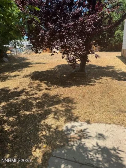 155 Molly, Sun Valley, Nevada 89433, 3 Bedrooms Bedrooms, ,2 BathroomsBathrooms,Residential Lease,Manufactured,Molly,250051760