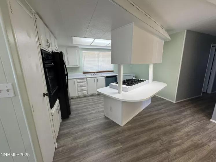 155 Molly, Sun Valley, Nevada 89433, 3 Bedrooms Bedrooms, ,2 BathroomsBathrooms,Residential Lease,Manufactured,Molly,250051760