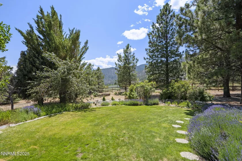 2548 Jacks Valley, Genoa, Nevada 89411, 4 Bedrooms Bedrooms, ,4 BathroomsBathrooms,Residential,Residential,Jacks Valley,250051774