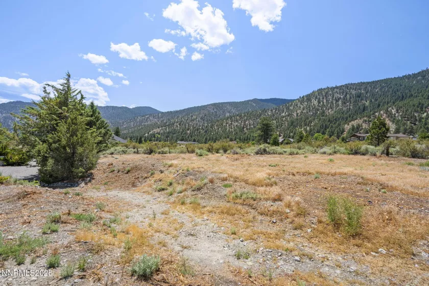 2548 Jacks Valley, Genoa, Nevada 89411, 4 Bedrooms Bedrooms, ,4 BathroomsBathrooms,Residential,Residential,Jacks Valley,250051774