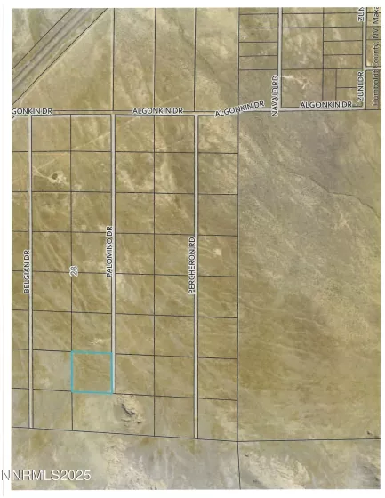 08067107 Palomino Rd, Golconda, Nevada 89414, ,Land,Residential,Palomino Rd,250051775