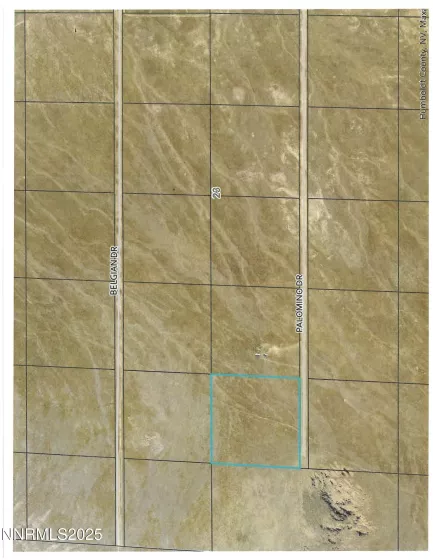 08067107 Palomino Rd, Golconda, Nevada 89414, ,Land,Residential,Palomino Rd,250051775