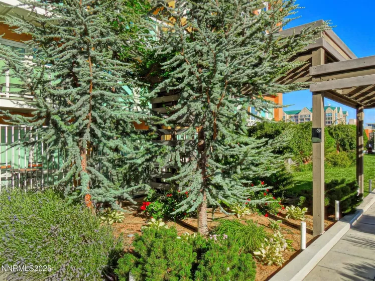 255 Sierra, Reno, Nevada 89501, 1 Bedroom Bedrooms, ,1 BathroomBathrooms,Residential Lease,Manufactured,Sierra,250051792