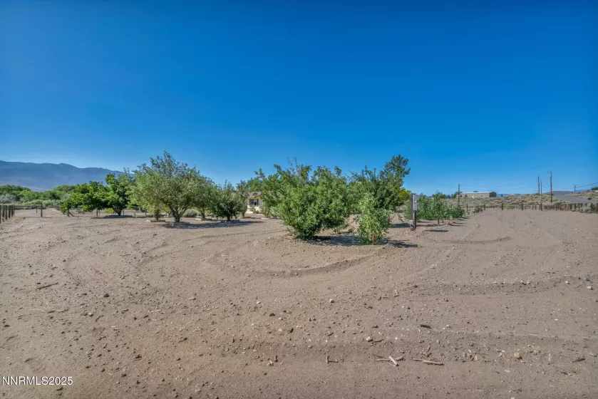 285 James, Dayton, Nevada 89403, 4 Bedrooms Bedrooms, ,3 BathroomsBathrooms,Residential,Residential,James,250003637