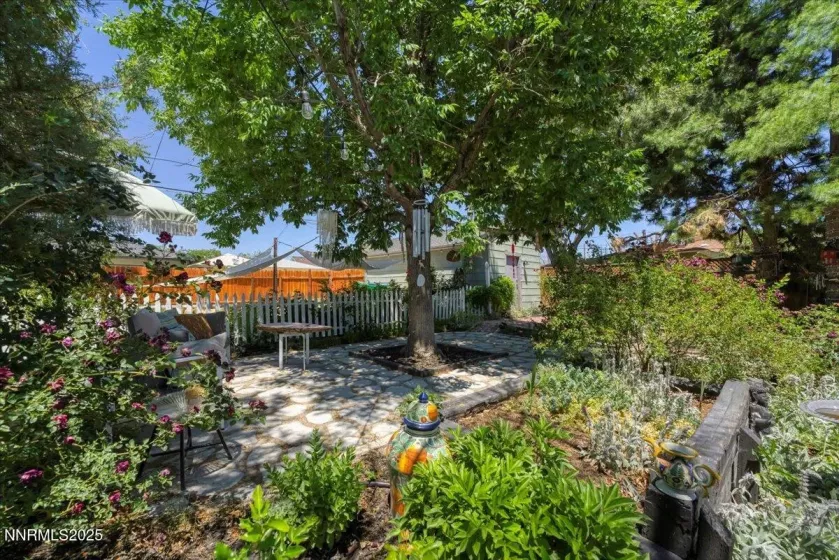 661 Thoma, Reno, Nevada 89502, 2 Bedrooms Bedrooms, ,1 BathroomBathrooms,Residential,Residential,Thoma,250051832