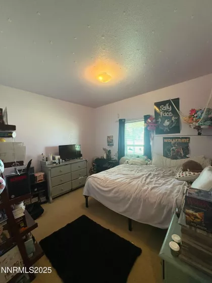 7075 Lazy P, Winnemucca, Nevada 89445, 3 Bedrooms Bedrooms, ,2 BathroomsBathrooms,Residential,Residential,Lazy P,250051895