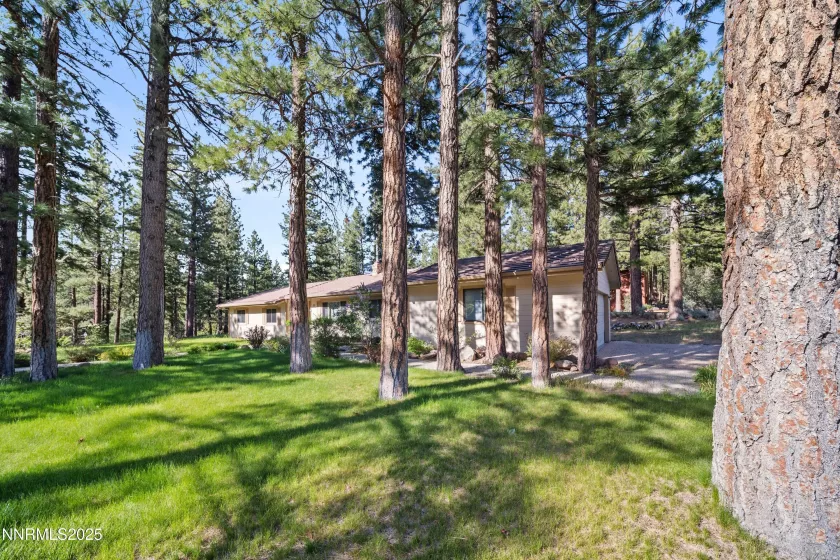 25 Yellow Pine, Reno, Nevada 89511, 3 Bedrooms Bedrooms, ,3 BathroomsBathrooms,Residential,Residential,Yellow Pine,250051914