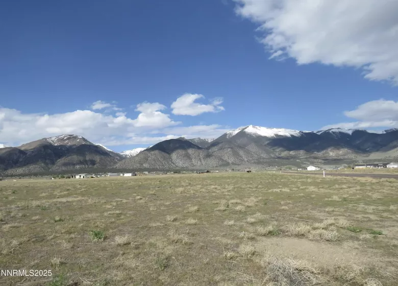 40 Patrick, Smith Valley, Nevada 89444, ,Land,Residential,Patrick,250051933