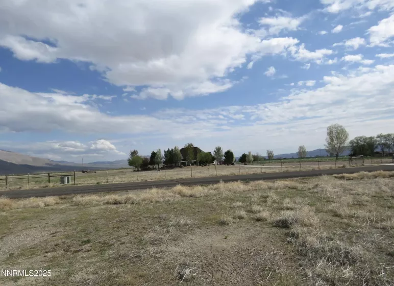 40 Patrick, Smith Valley, Nevada 89444, ,Land,Residential,Patrick,250051933