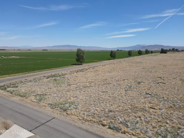 40 Patrick, Smith Valley, Nevada 89444, ,Land,Residential,Patrick,250051933