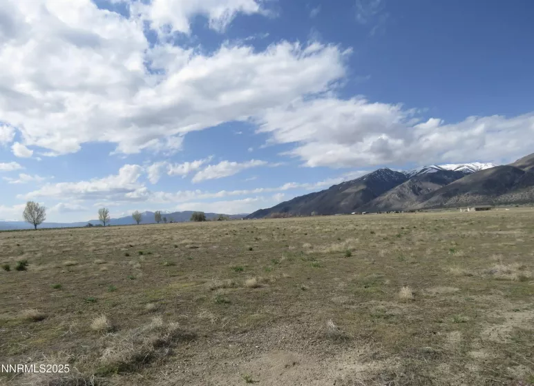 40 Patrick, Smith Valley, Nevada 89444, ,Land,Residential,Patrick,250051933