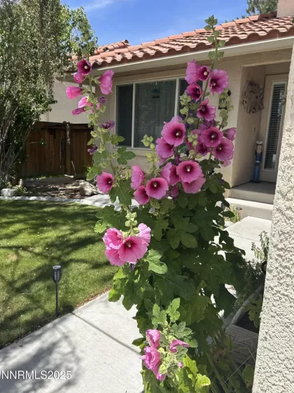 236 La Costa, Dayton, Nevada 89403, 3 Bedrooms Bedrooms, ,3 BathroomsBathrooms,Residential,Residential,La Costa,250051946