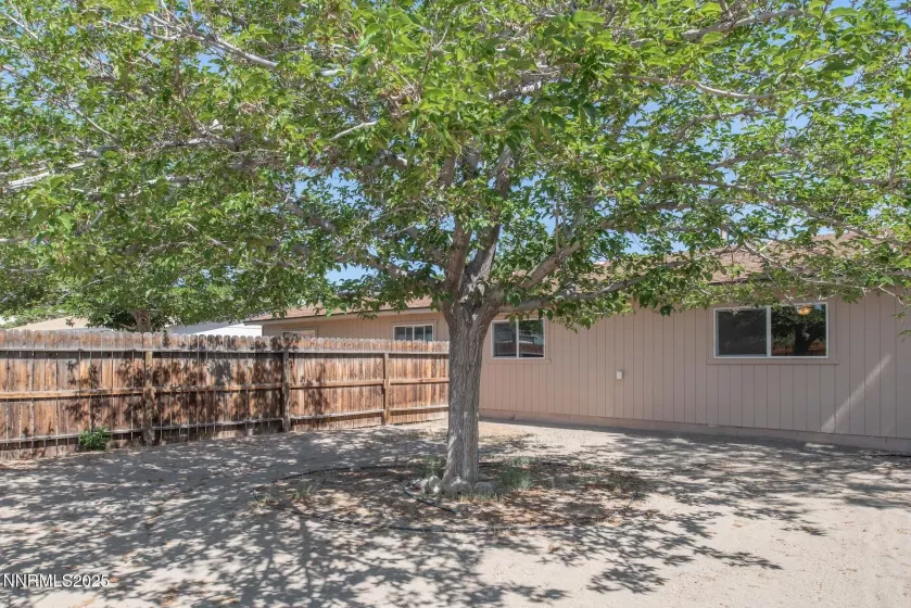 1241 Newlands, Fernley, Nevada 89408, 4 Bedrooms Bedrooms, ,2 BathroomsBathrooms,Residential,Residential,Newlands,250051956