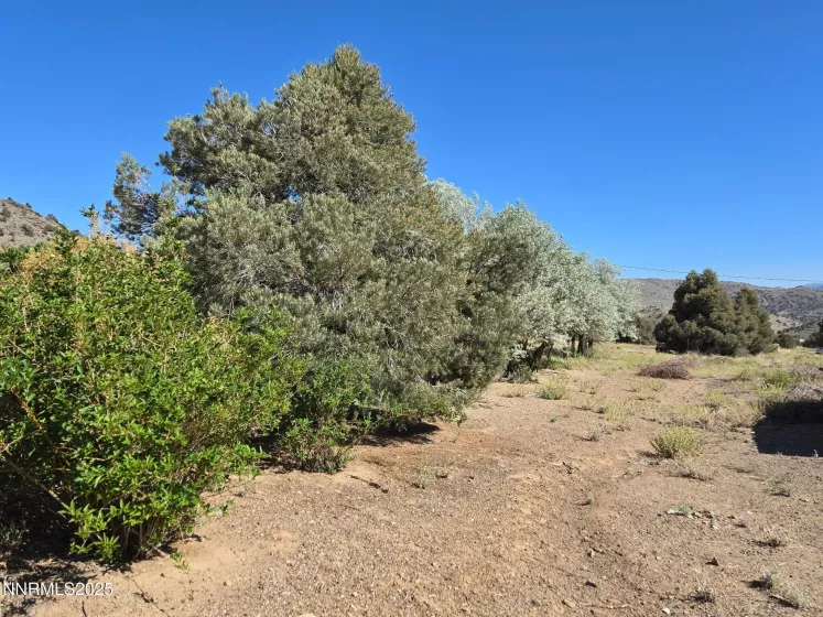 1340 Topaz Ranch, Topaz Ranch Estates, Nevada 89444, 2 Bedrooms Bedrooms, ,2 BathroomsBathrooms,Residential,Residential,Topaz Ranch,250051972
