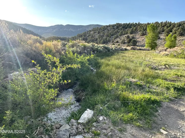 3350 Ike's Canyon, Eureka, Nevada 89316, 4 Bedrooms Bedrooms, ,3 BathroomsBathrooms,Residential,Residential,Ike's Canyon,250051982