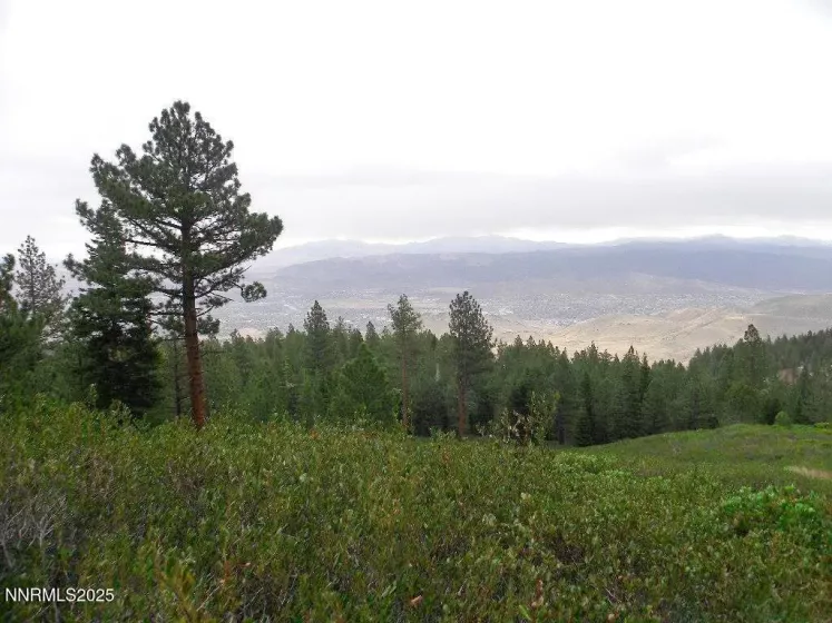 0 Kings Canyon Rd, Carson City, Nevada 89703, ,Land,Residential,Kings Canyon Rd,250051986