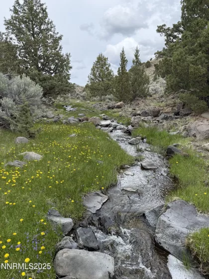06617024 Wall Canyon Reservoir Rd, Wadsworth, Nevada 89442, ,Land,Residential,Wall Canyon Reservoir Rd,250051989