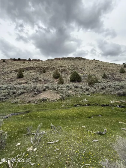 06617024 Wall Canyon Reservoir Rd, Wadsworth, Nevada 89442, ,Land,Residential,Wall Canyon Reservoir Rd,250051989