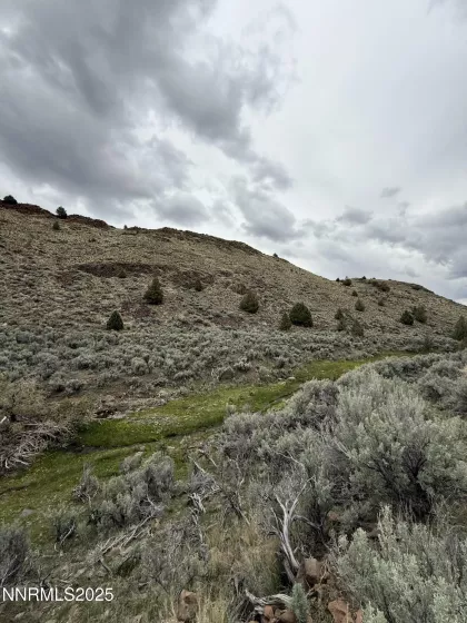 06617024 Wall Canyon Reservoir Rd, Wadsworth, Nevada 89442, ,Land,Residential,Wall Canyon Reservoir Rd,250051989