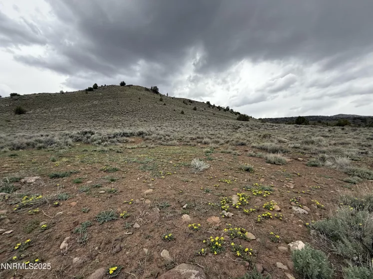06617024 Wall Canyon Reservoir Rd, Wadsworth, Nevada 89442, ,Land,Residential,Wall Canyon Reservoir Rd,250051989