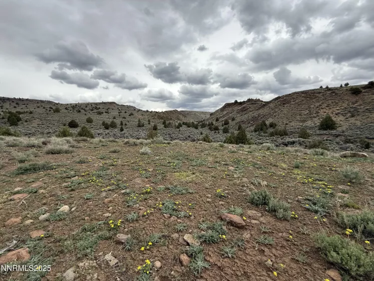 06617024 Wall Canyon Reservoir Rd, Wadsworth, Nevada 89442, ,Land,Residential,Wall Canyon Reservoir Rd,250051989