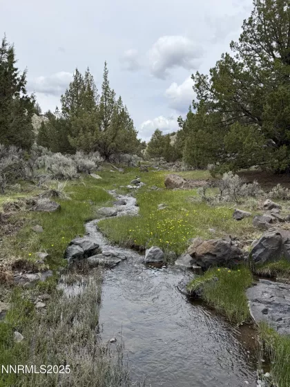 06617024 Wall Canyon Reservoir Rd, Wadsworth, Nevada 89442, ,Land,Residential,Wall Canyon Reservoir Rd,250051989
