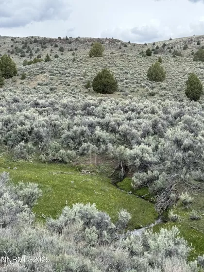06617024 Wall Canyon Reservoir Rd, Wadsworth, Nevada 89442, ,Land,Residential,Wall Canyon Reservoir Rd,250051989