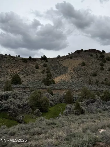 06617024 Wall Canyon Reservoir Rd, Wadsworth, Nevada 89442, ,Land,Residential,Wall Canyon Reservoir Rd,250051989